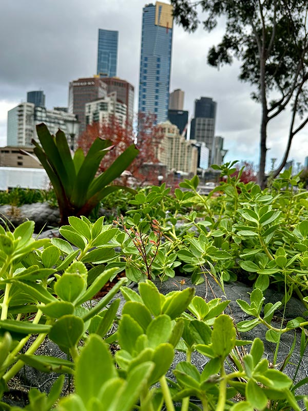 7856 mjc horticulture horticulture consulting