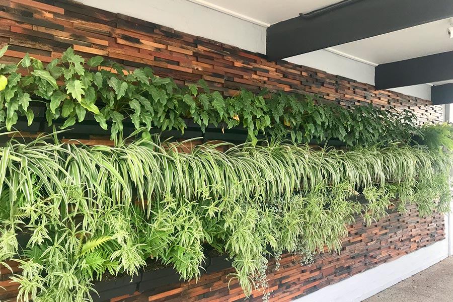 Home 15 Green infrastructure