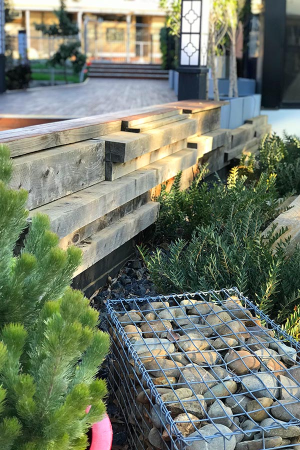 Home 4 Therapeutic gardens