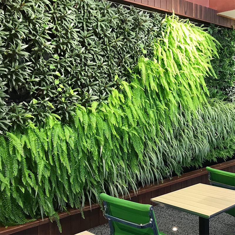Home 19 Vertical-Walls-thumb-MJC-Horticulture-Melbourne