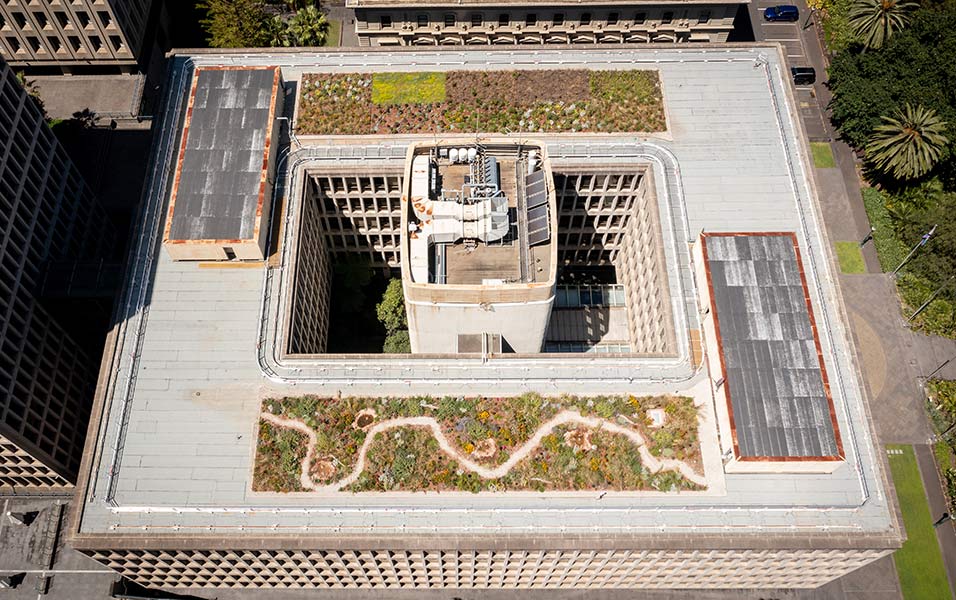 Home 13 Whole-Rooftop-Aerial-GOR_Treasury-Pl_Dec-24_DJI_0171_D-Hannah-(2)