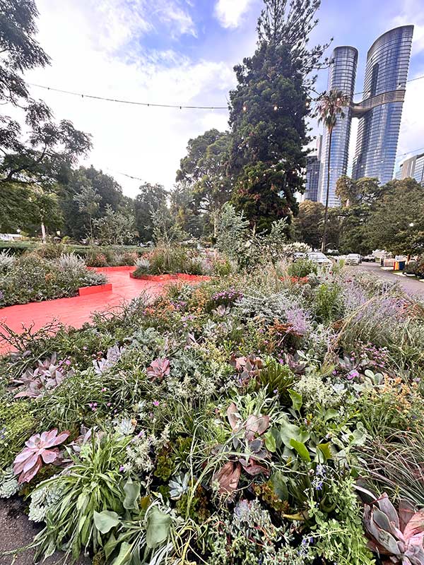 P IMG 3995 Urban greening